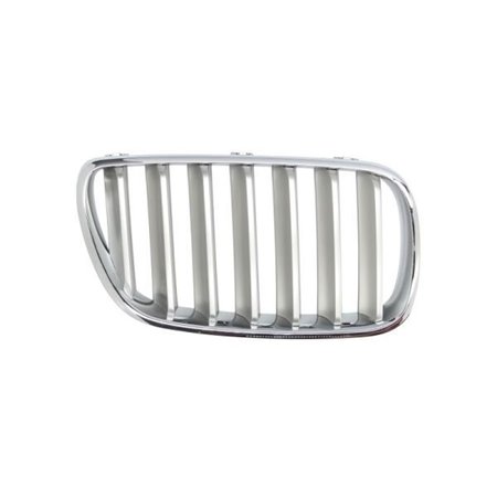 6502-07-00939940P Radiator Grille BLIC