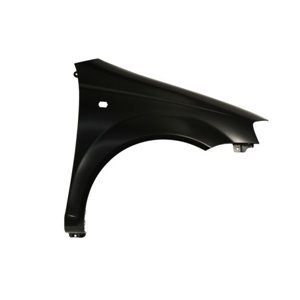 6504-04-1135316P Front fender R (with indicator hole) fits: CHEVROLET AVEO/KALOS; 