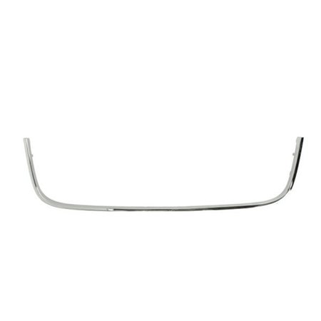 5703-05-9524920P Trim/Protection Strip, bumper BLIC