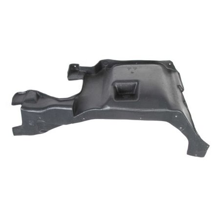 6601-02-0020871P Engine Cover BLIC