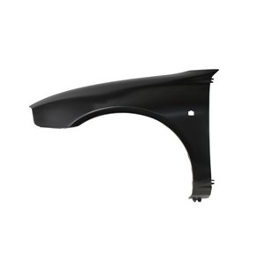 6504-04-6435311P Front fender L (with indicator hole) fits: ROVER 25 10.99 05.04