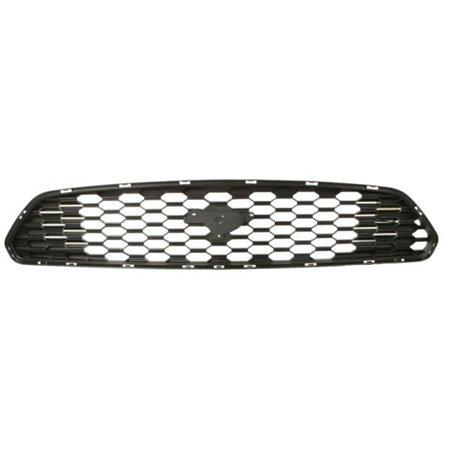 6502-07-0941990P Radiator Grille BLIC