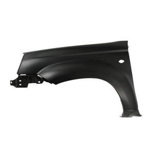 6504-04-1678313P Front fender L  with ind - Top1autovaruosad