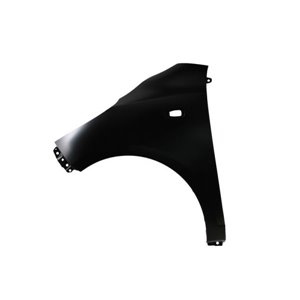6504-04-3120311P Front fender L (with indicator hole) fits: HYUNDAI i10 01.08 12.1