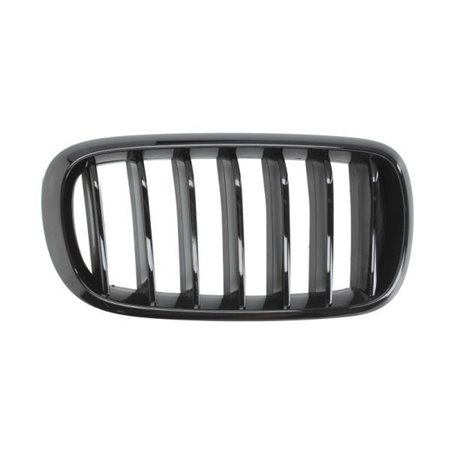 6502-07-00969988P Radiator Grille BLIC