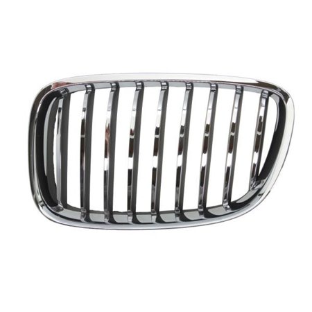 6502-07-00679911P Radiator Grille BLIC