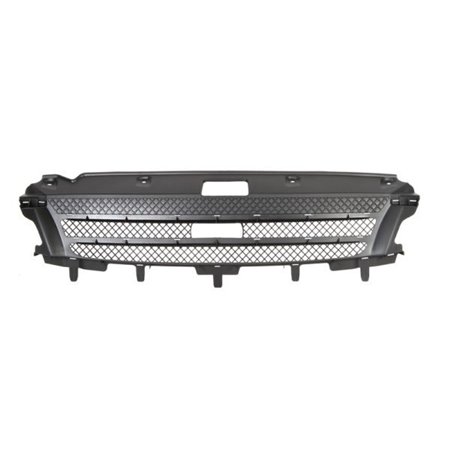 6502-07-3081990P Radiator Grille BLIC