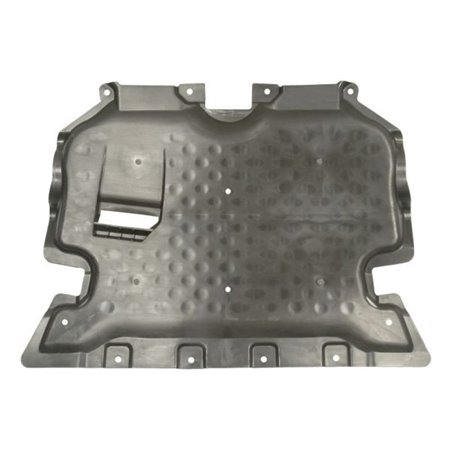 6601-02-3521861P Engine Cover BLIC