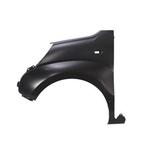 6504-04-0553311P Front fender L (with indicator hole, with rail holes) fits: CITRO