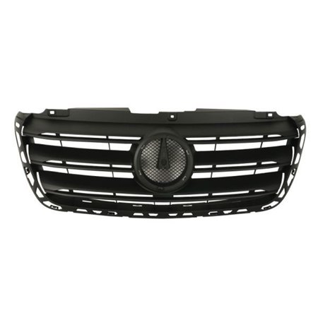 6502-07-3549990P Radiator Grille BLIC