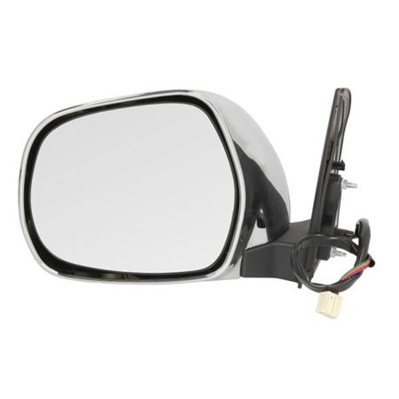 5402-19-2002503P Exterior Mirror BLIC