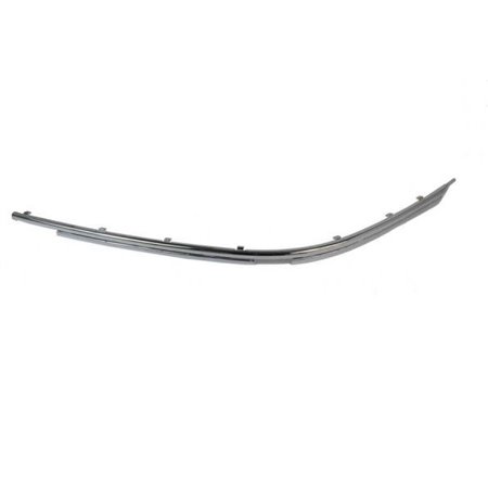 5703-05-00659281P Trim/Protection Strip, bumper BLIC