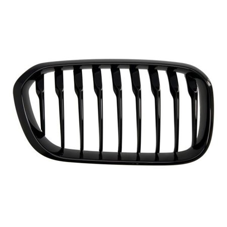 6502-07-0086998P Radiator Grille BLIC