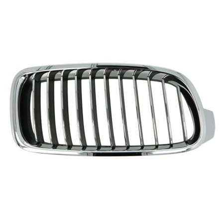 6502-07-0063998P Radiator Grille BLIC