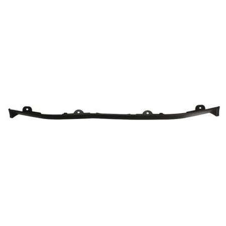 6502-07-3181970P Trim/Protection Strip, bumper BLIC