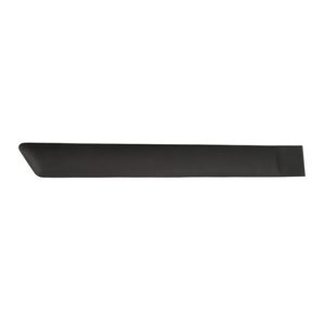 5703-04-2564474CP Garnish strips for door rear R (black) fits: FORD FIESTA V 03.05 