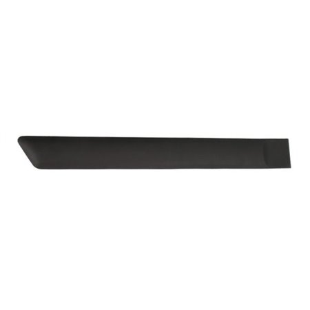 5703-04-2564474CP Trim/Protection Strip, wing BLIC