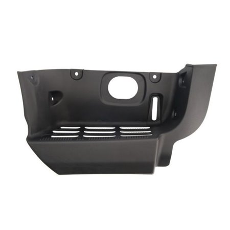 6505-06-0701042P Foot/Running Board BLIC