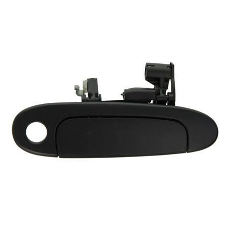 6010-19-039402P Exterior Door Handle BLIC