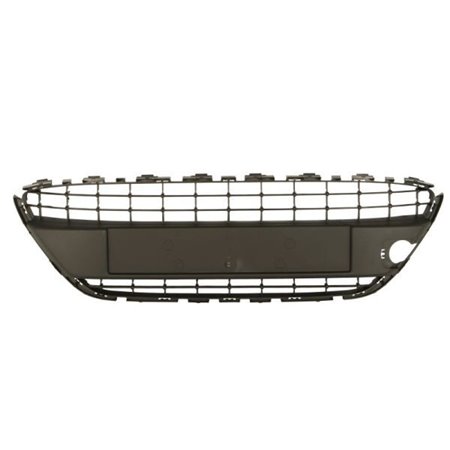 6509-01-2565995P Ventilation Grilles, bumper BLIC