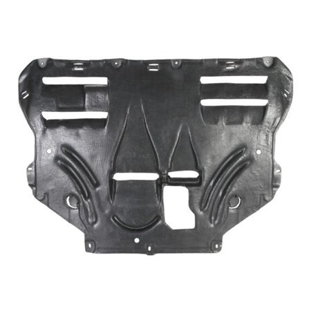 6601-02-2579860P Engine Cover BLIC