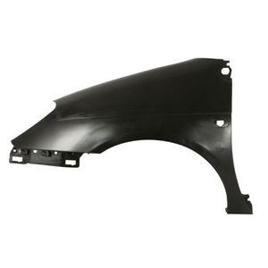 6504-04-6038313P Front fender L (with indicator hole, plastic) fits: RENAULT SCENI