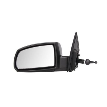 5402-53-2001545P Exterior Mirror BLIC