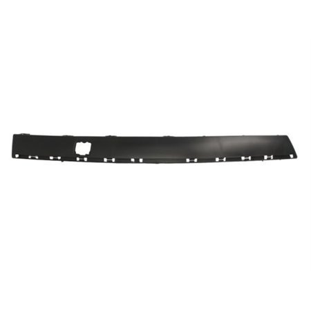 5703-05-5536924P Trim/Protection Strip, bumper BLIC