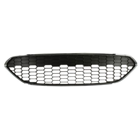 6509-01-2565990Q Radiator Grille BLIC