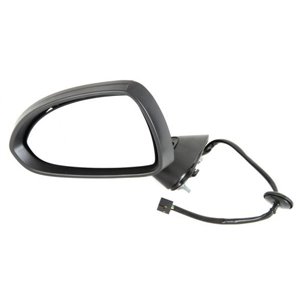 5402-04-1139225P Exterior Mirror BLIC - Top1autovaruosad