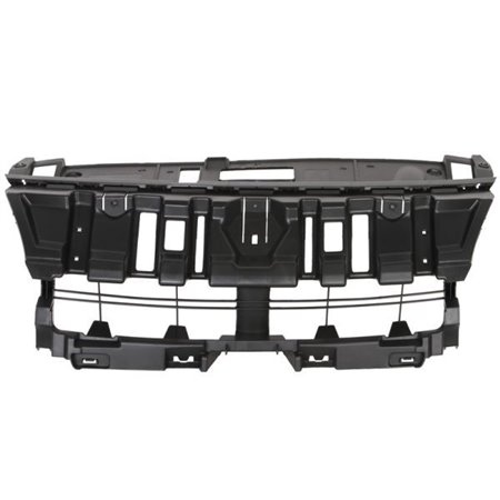 6502-07-6046992P Front grille (inner part) fits: RENAULT GRAND SCENIC III Ph II 01