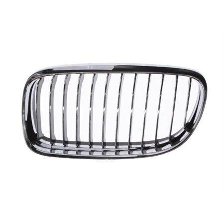 6502-07-0062991PP Radiator Grille BLIC