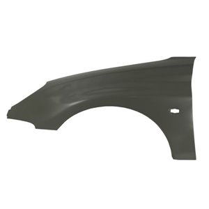 6504-04-5507315P Front fender L (GTI, with indicator hole) fits: PEUGEOT 206 09.98