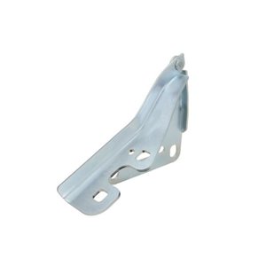 6802-00-5052452P Hinge, bonnet BLIC - Top1autovaruosad