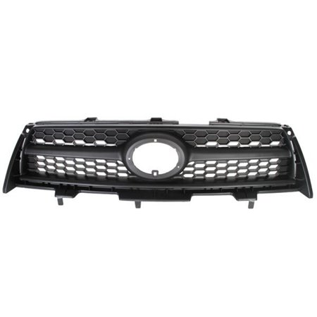 6502-07-8179992P Radiator Grille BLIC