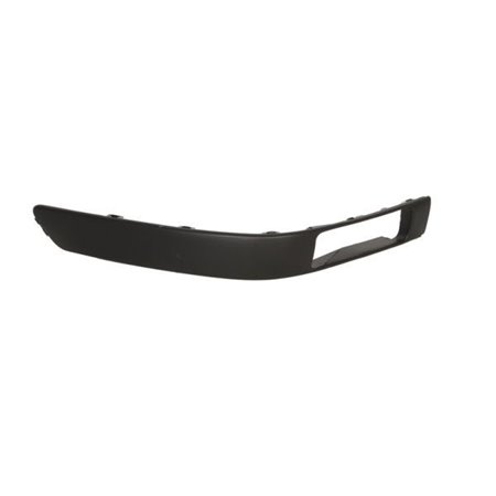 5703-05-0017924P Trim/Protection Strip, bumper BLIC