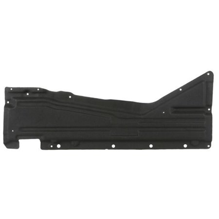 6601-02-0096982P Engine Cover BLIC