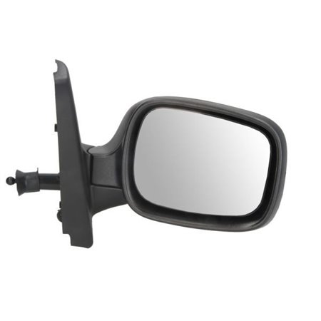 5402-04-9215172P Exterior Mirror BLIC