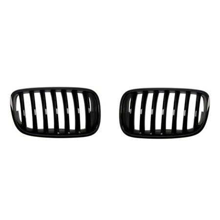 6502-07-0096990P Radiator Grille BLIC