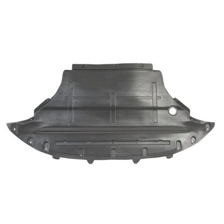 6601-02-0035860P Engine Cover BLIC