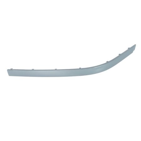 5703-05-0065929PQ Trim/Protection Strip, bumper BLIC