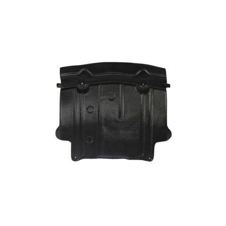 6601-02-3511861P Engine Cover BLIC