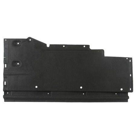 6601-02-0029981P Engine Cover BLIC