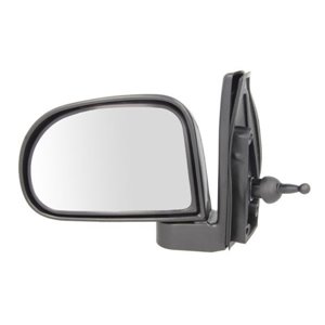5402-04-1112120P Side mirror L (mechanical, embossed) fits: HYUNDAI ATOS 02.98 12.