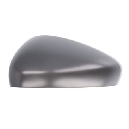 6403-01-2103991P Housing, exterior mirror BLIC