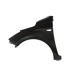 6504-04-3128313P Front fender L (with indicator hole) fits: HYUNDAI i20 03.12 12.1