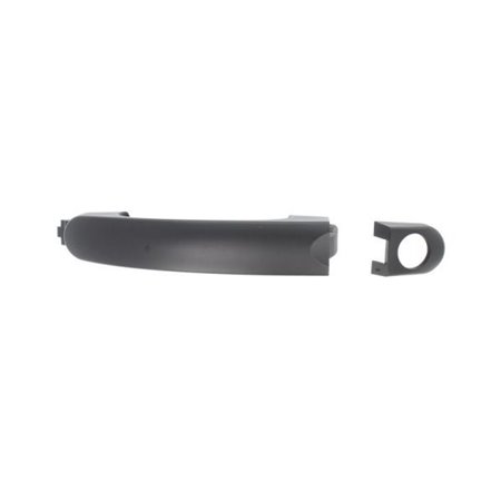 6010-01-039402P Exterior Door Handle BLIC