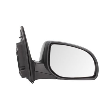 5402-20-2001396P Exterior Mirror BLIC