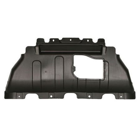 6601-02-3206911P Engine Guard/Skid Plate BLIC