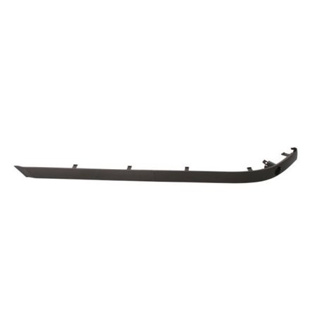 5513-00-00659705P Trim/Protection Strip, bumper BLIC